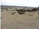 Lot 1 Mulgowrie Road, Binda NSW 2583