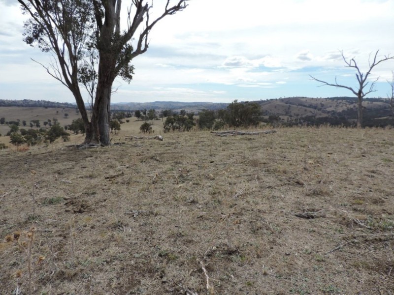 Lot 1 Mulgowrie Road, Binda NSW 2583
