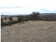 Lot 1 Mulgowrie Road, Binda NSW 2583