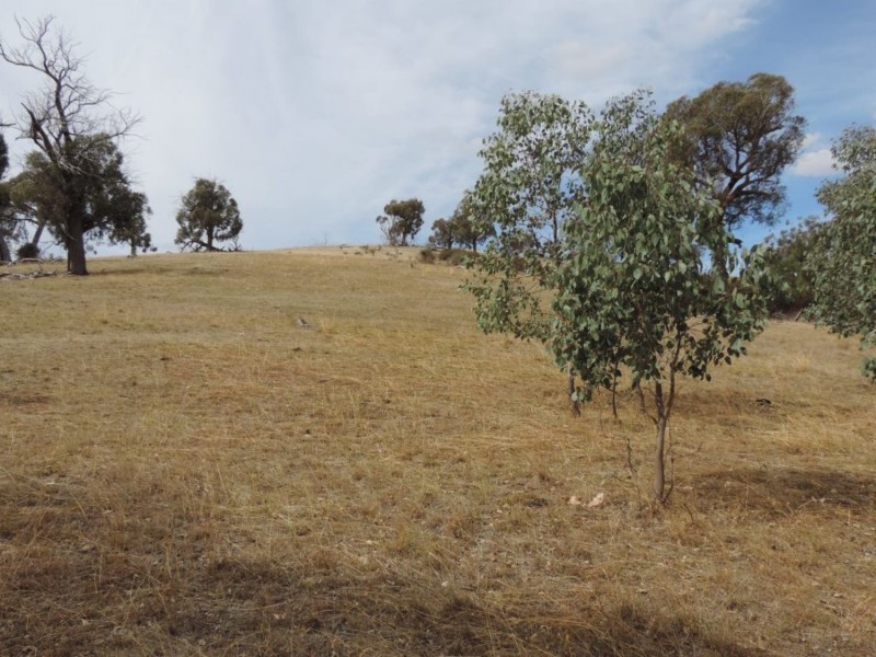 Lot 1 Mulgowrie Road, Binda NSW 2583