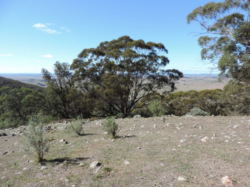 272 St Clair Road, Lake Bathurst NSW 2580