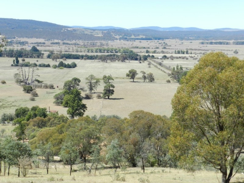 177 Mark Tree Road, Collector NSW 2581