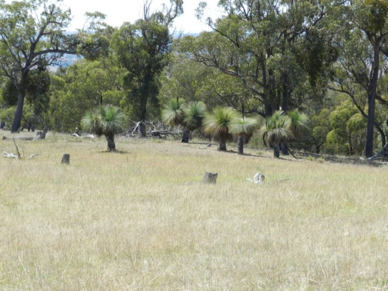 177 Mark Tree Road, Collector NSW 2581