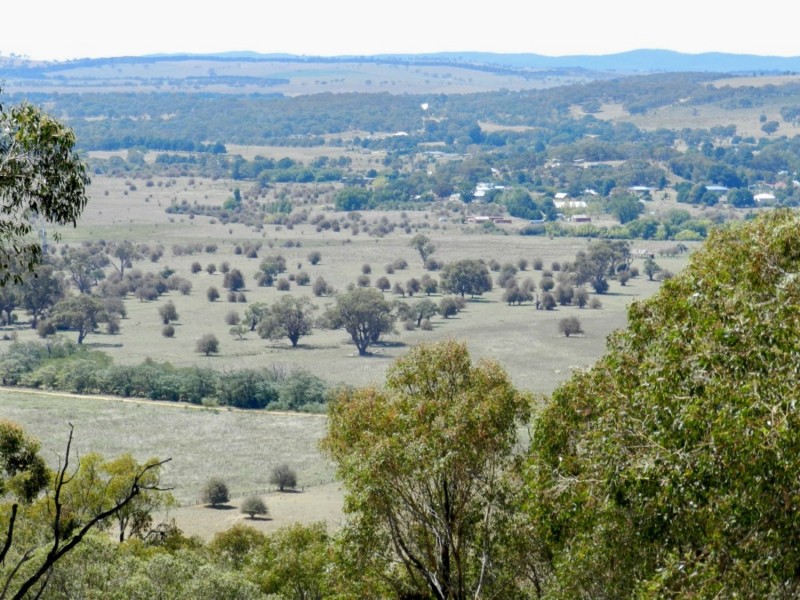 177 Mark Tree Road, Collector NSW 2581