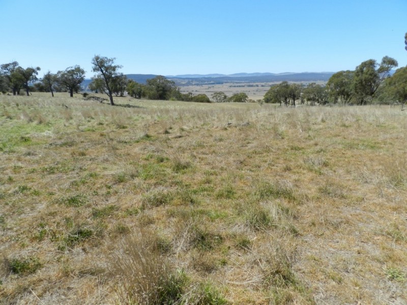 177 Mark Tree Road, Collector NSW 2581