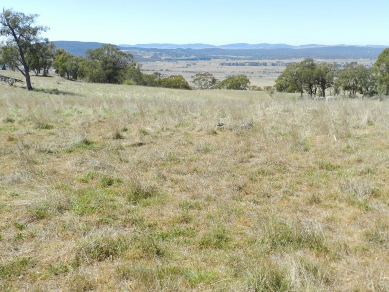 177 Mark Tree Road, Collector NSW 2581