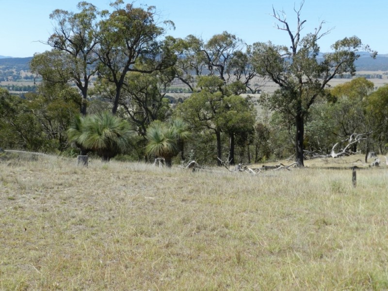 177 Mark Tree Road, Collector NSW 2581