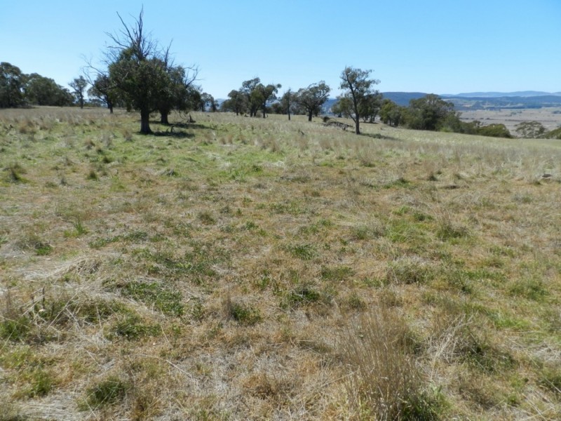 177 Mark Tree Road, Collector NSW 2581