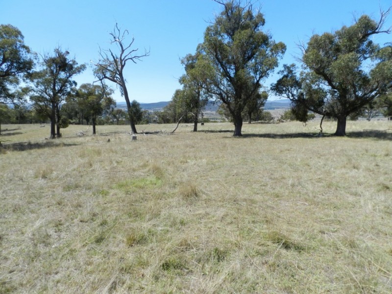 177 Mark Tree Road, Collector NSW 2581