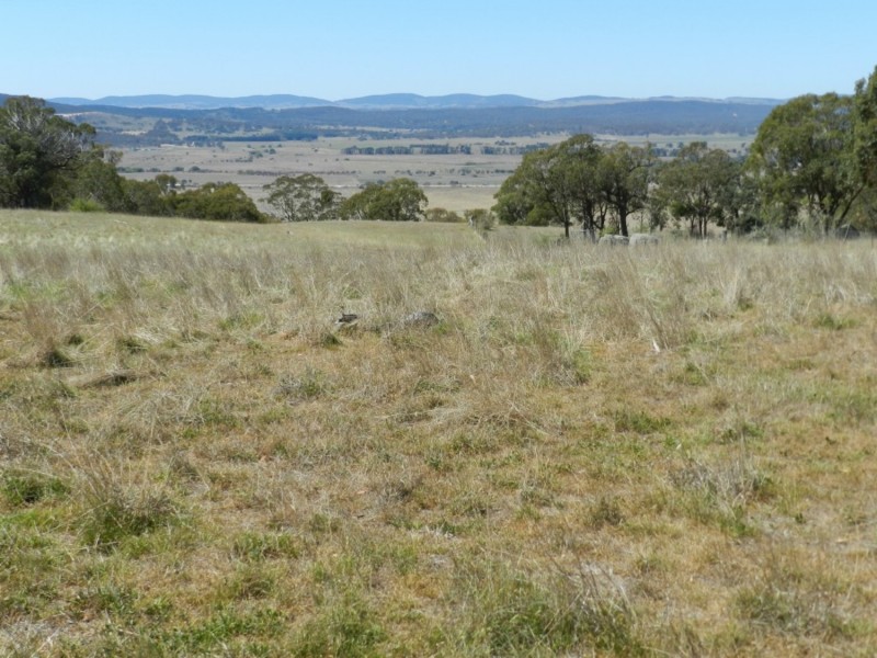 177 Mark Tree Road, Collector NSW 2581