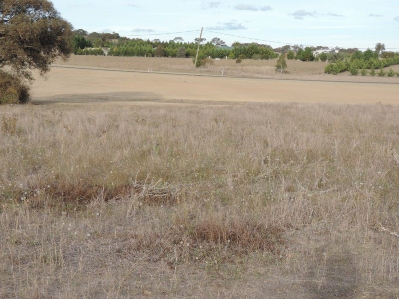 Lot 106 Pockley Drive, Goulburn NSW 2580