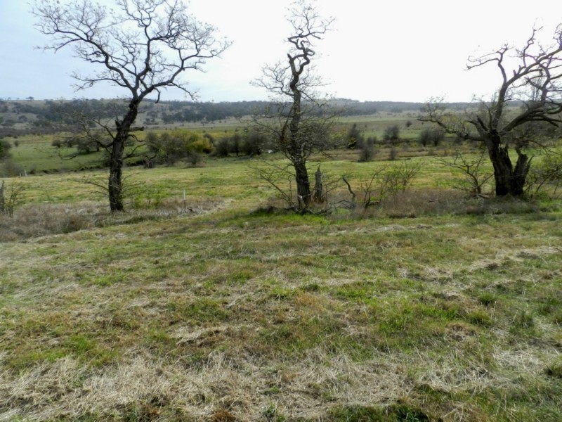 Lot 14 Murray Street, Collector NSW 2581