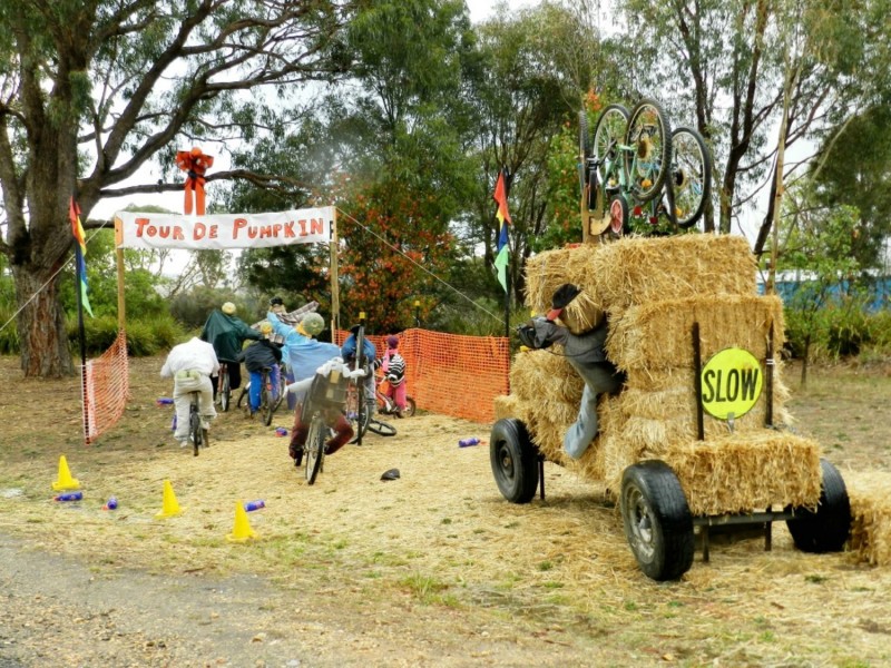 Lot 14 Murray Street, Collector NSW 2581