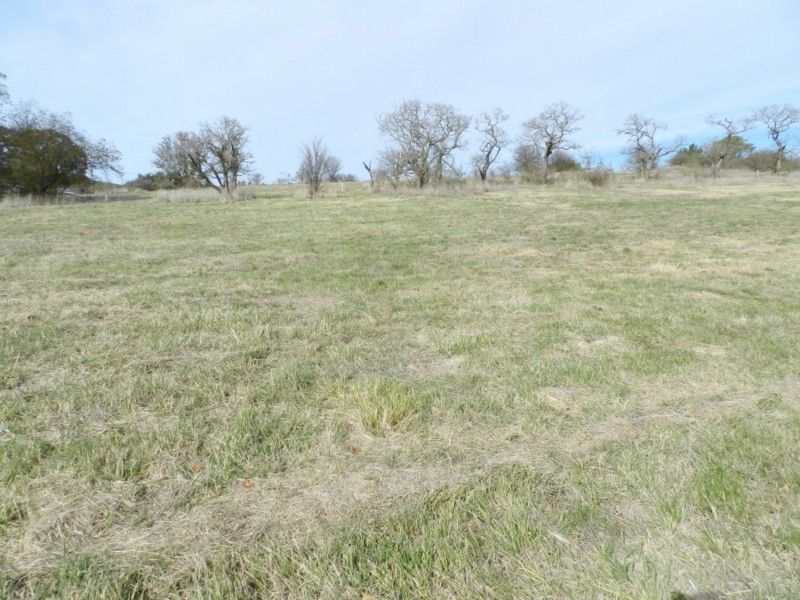 Lot 13 Murray Street, Collector NSW 2581