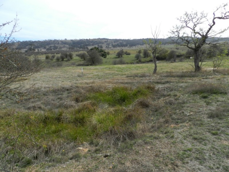 Lot 15 Murray Street, Collector NSW 2581