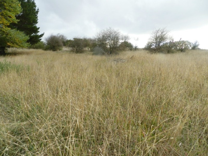 Lot 15 Murray Street, Collector NSW 2581