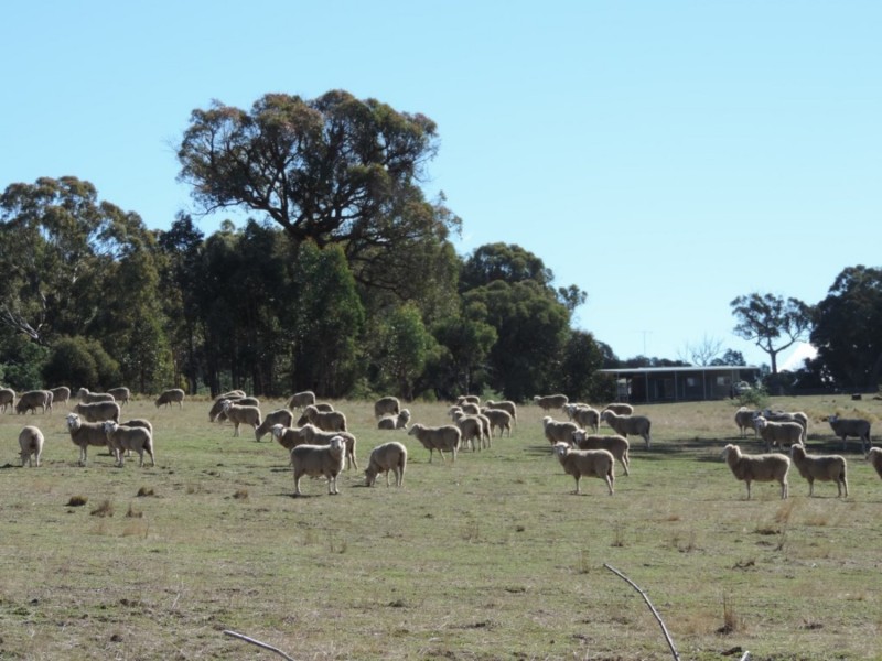 Lot 2 Off Millsvale Road, Fullerton NSW 2583