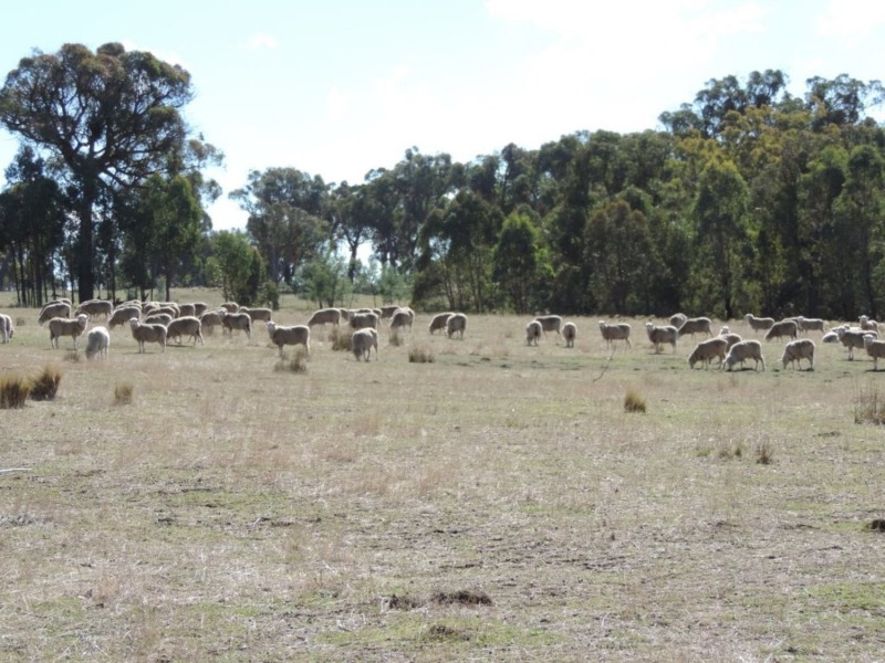 Lot 2 Off Millsvale Road, Fullerton NSW 2583