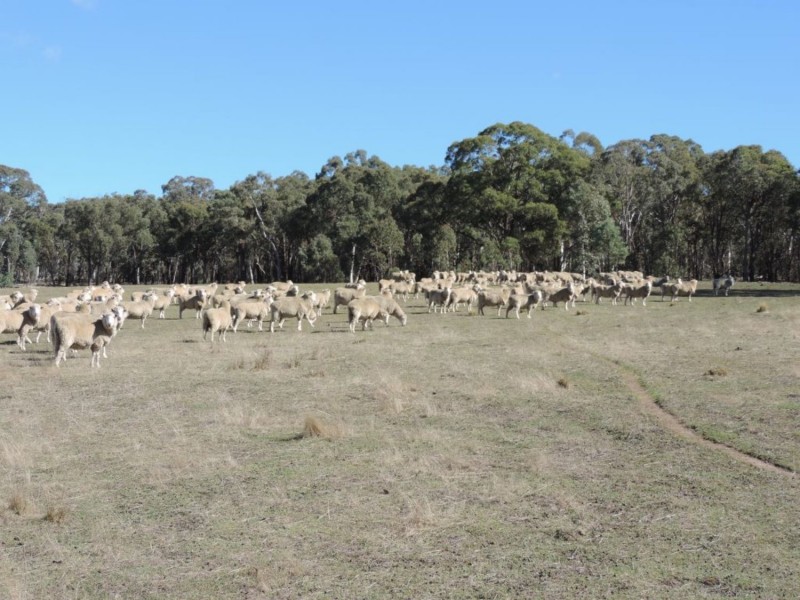 Lot 2 Off Millsvale Road, Fullerton NSW 2583