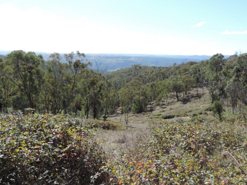 Lot 2 Off Millsvale Road, Fullerton NSW 2583