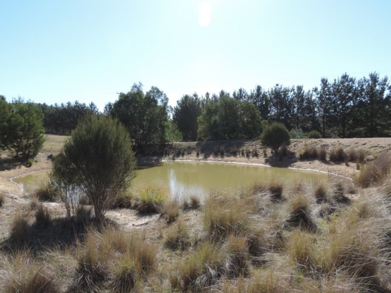 1000 Lower Boro Road, Boro NSW 2622