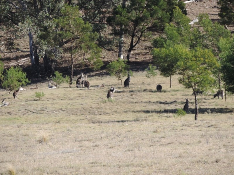 1000 Lower Boro Road, Boro NSW 2622