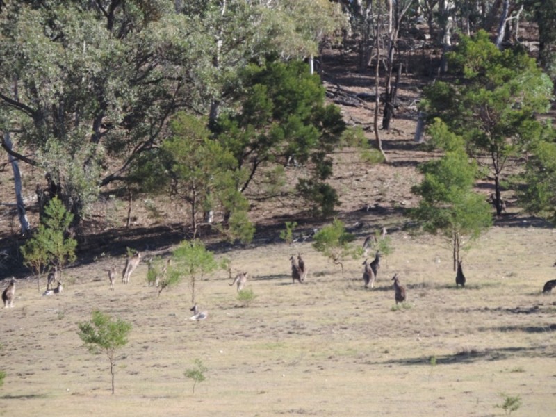 1000 Lower Boro Road, Boro NSW 2622