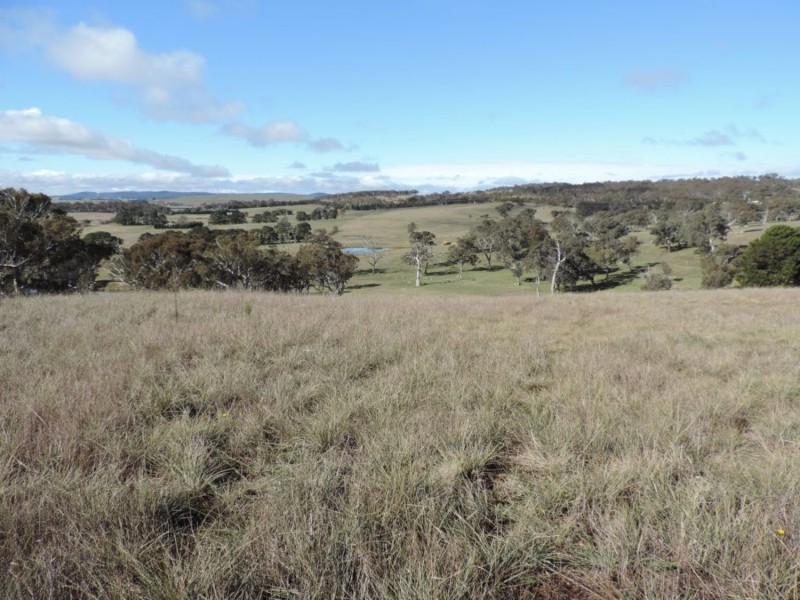 81 Greendale Road, Breadalbane NSW 2581