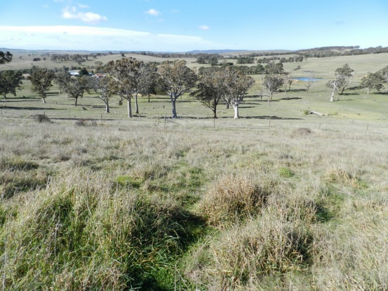 81 Greendale Road, Breadalbane NSW 2581
