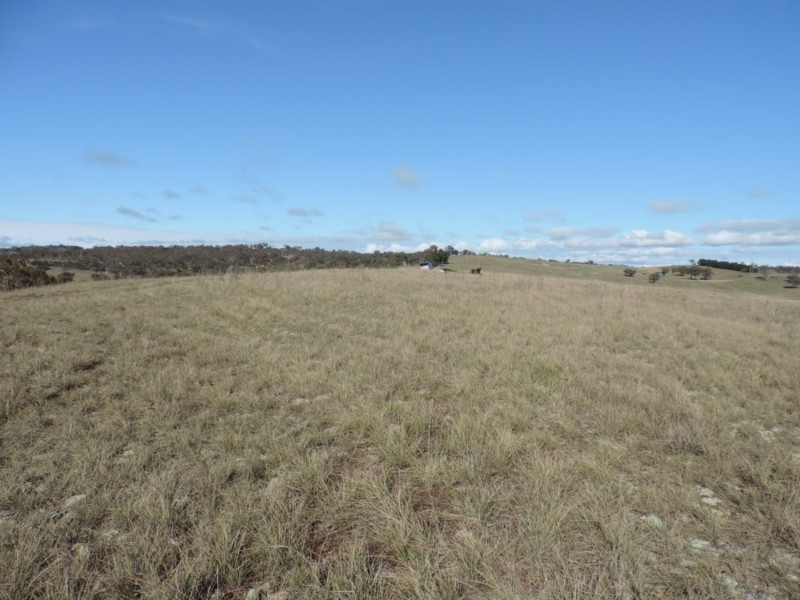 81 Greendale Road, Breadalbane NSW 2581