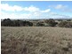 81 Greendale Road, Breadalbane NSW 2581