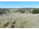 81 Greendale Road, Breadalbane NSW 2581