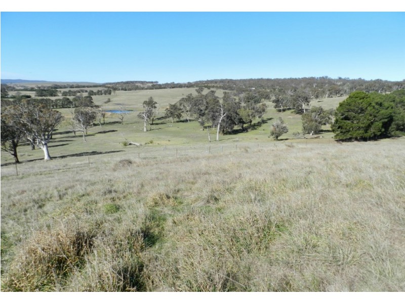 81 Greendale Road, Breadalbane NSW 2581