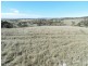 81 Greendale Road, Breadalbane NSW 2581