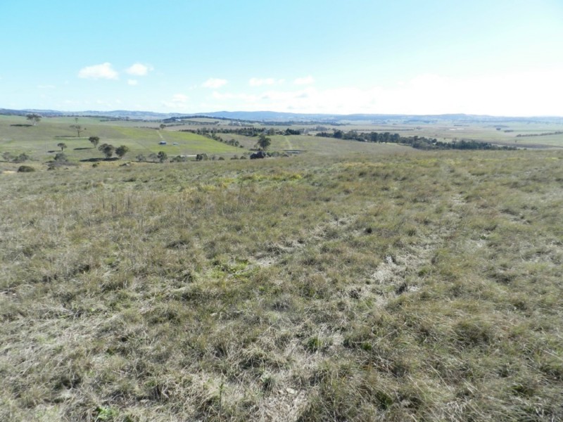 81 Greendale Road, Breadalbane NSW 2581