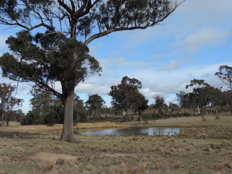 63 Hazelton Road, Bungonia NSW 2580