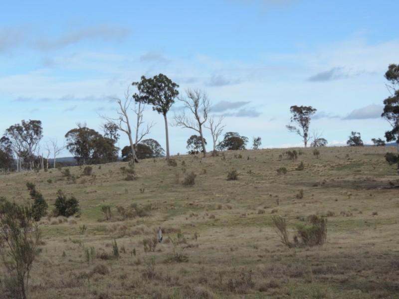 63 Hazelton Road, Bungonia NSW 2580