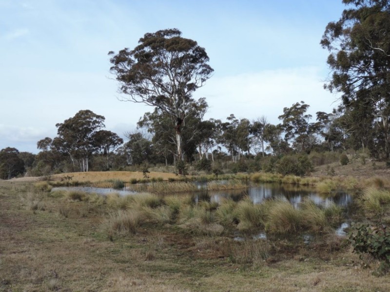 63 Hazelton Road, Bungonia NSW 2580