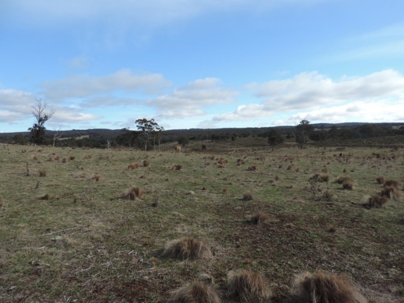 63 Hazelton Road, Bungonia NSW 2580