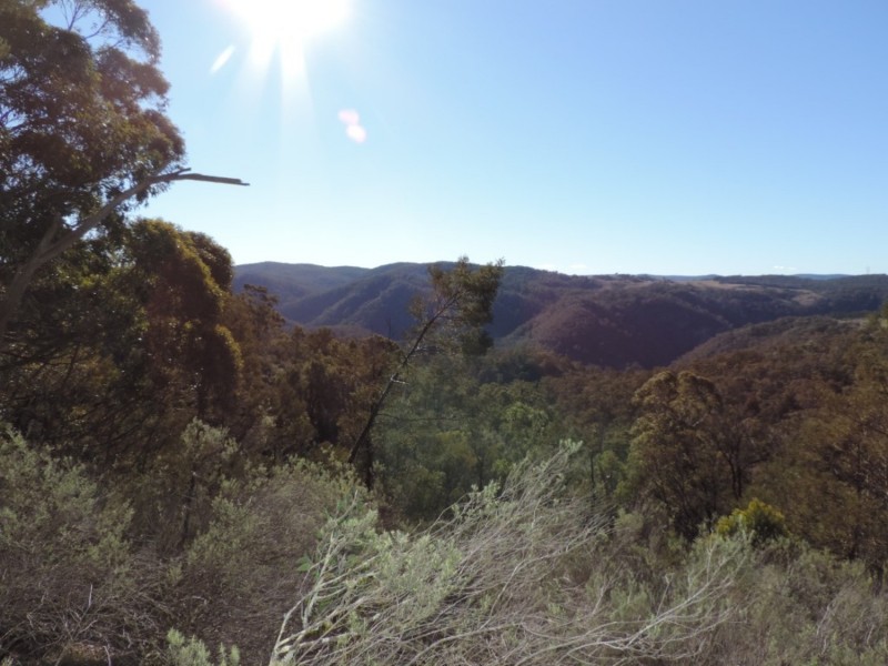 645 Newfoundland Road, Bannaby NSW 2580