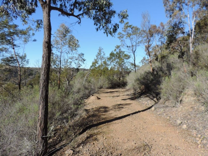 645 Newfoundland Road, Bannaby NSW 2580