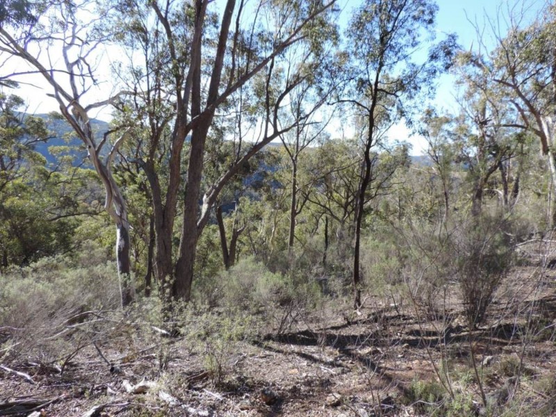 645 Newfoundland Road, Bannaby NSW 2580