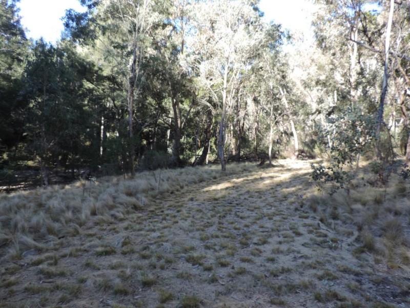 645 Newfoundland Road, Bannaby NSW 2580