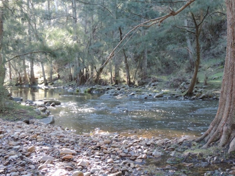 645 Newfoundland Road, Bannaby NSW 2580