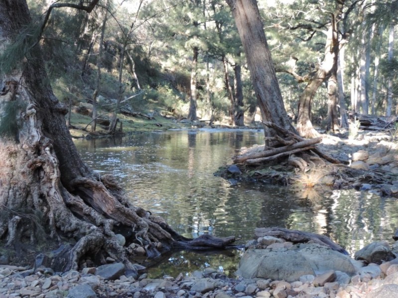 645 Newfoundland Road, Bannaby NSW 2580