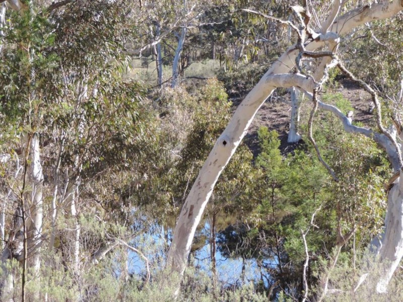 645 Newfoundland Road, Bannaby NSW 2580