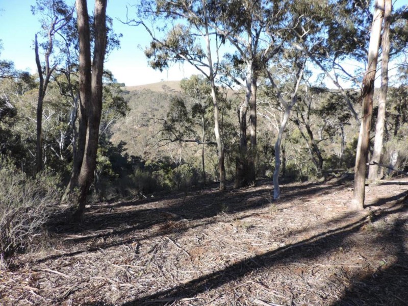 645 Newfoundland Road, Bannaby NSW 2580