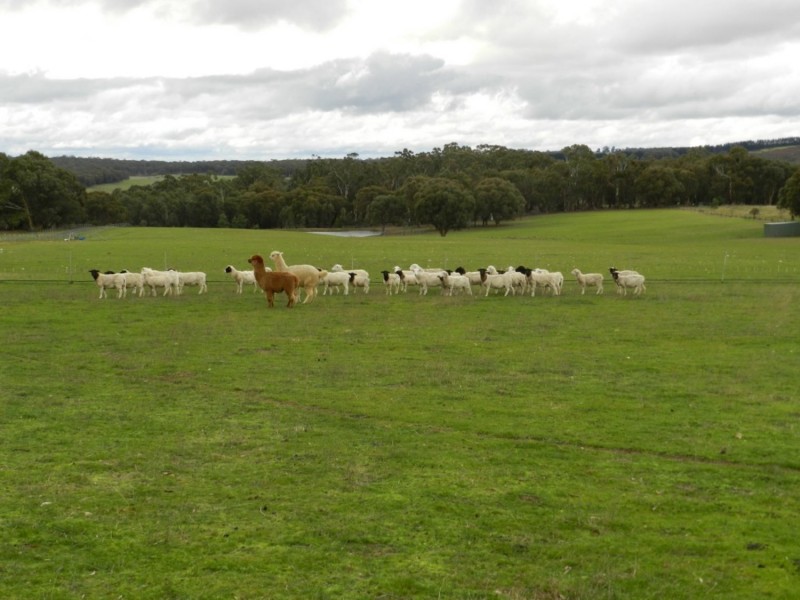 125 Kennedy Lane, Crookwell NSW 2583