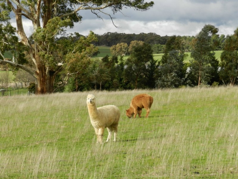 125 Kennedy Lane, Crookwell NSW 2583