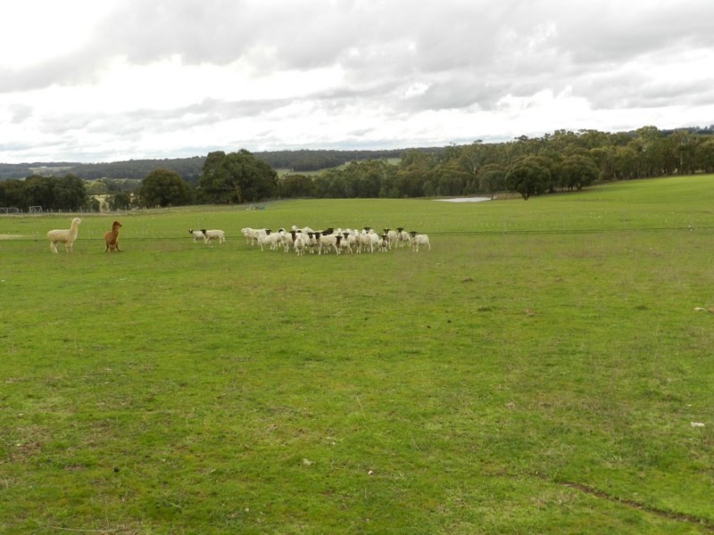 125 Kennedy Lane, Crookwell NSW 2583